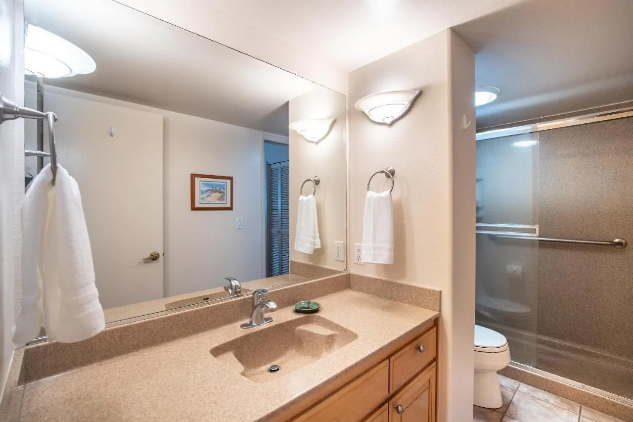 Kihei Beach 508 Holiday home